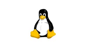 Tux the penguin mascot, symbolizing the start of my journey as a Linux newbie.